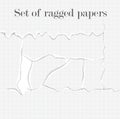 Set of lacerated papers