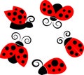 A set of ladybirds in different poses Royalty Free Stock Photo
