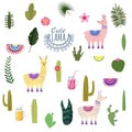 Set Lama Alpaca cacti drinks and decorative. Collection of elements for decoration, vector, illustration, isolated, cute