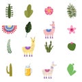 Set Lama Alpaca cacti drinks and decorative. Collection funny elements for decoration, vector, illustration, isolated