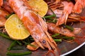 Set langoustine shell with a crest sharp on his head with a lemon delicious delicacy a delicious appetizer for beer Royalty Free Stock Photo