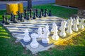 Set of large outdoor chess pieces. Royalty Free Stock Photo