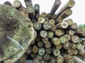 set of large wooden trunks stacked in an unorganized manner