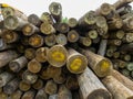 set of large wooden trunks stacked in an unorganized manner