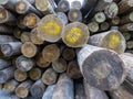 set of large wooden trunks stacked in an unorganized manner