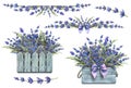 Set with lavender flowers, compositions, bouquet. Watercolor illustration from the LAVENDER SPA collection. For Royalty Free Stock Photo