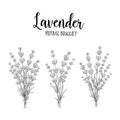 Set of lavender flowers.