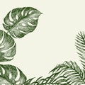 Hand drawn branches and leaves of tropical plants. Green monstera and palm leaves around the place for text. High Royalty Free Stock Photo