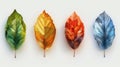 A set of leaf icons isolated on a white background. An element of a logo design. Royalty Free Stock Photo