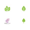 Set Leaf Logo Template vector symbol Royalty Free Stock Photo