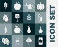 Set Leaf on mobile phone, Onion, Meteorology thermometer, Watering can, Tree, drop, leaves and icon. Vector