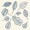 Set of leaf sketch for you design