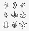 set leafs design Royalty Free Stock Photo