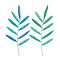 Set leafs plant icons Royalty Free Stock Photo