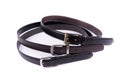 Set of Leather Belts isolated Royalty Free Stock Photo
