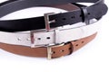 Set of Leather Belts isolated Royalty Free Stock Photo