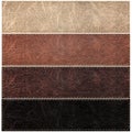 Set of leather labels of different colors