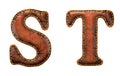 Set of leather letters S, T uppercase. 3D render font with skin texture isolated on white background.