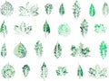 Set of leaves imprints. Green watercolor seasonal design. Royalty Free Stock Photo