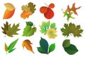 Set of leaves, seasons