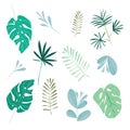 Set of leaves of tropical plants. Vector illustration, isolated on white. Royalty Free Stock Photo