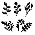 Set of Leaves Vector Icon Design On White Background Royalty Free Stock Photo