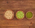 set of legumes, beans for gluten-free protein vegan diet, green peas, chickpea, mung, top view