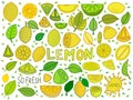 Set with lemon doodle icon