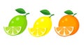 Set of lemon, lime and orange with slices and green leaf. Vector