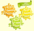 Set of Lemon, orange, lime juece labels splash.