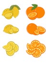 Set of lemon and orange slices Royalty Free Stock Photo