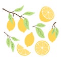 Set of lemons in flat style. Collection of lemons on a branch, a slice of a lemon, a half of a lemon. Royalty Free Stock Photo