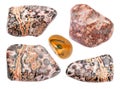 Set of Leopard skin jasper Jaguar Stone gemstone Royalty Free Stock Photo