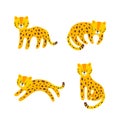Set of leopards. Animal character for various prints and designs. Vector illustration
