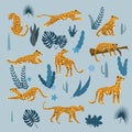 Set of leopards in various poses, plants, flowers, exotic, graphic cute trend style, mammal predator, jungle. Vector