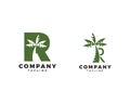 Set of Letter R logo coconut tree icon design vector Royalty Free Stock Photo