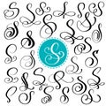 Set letter S. Hand drawn vector flourish calligraphy. Script font. Isolated letters written with ink. Handwritten brush Royalty Free Stock Photo