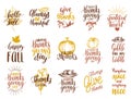 Set of lettering and illustrations for Thanksgiving Day. Vector drawn and handwritten labels of Happy Fall etc.