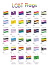 Set of 34 LGBT, sexual and gender tendencies pride flags