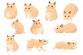 Set of Light brown hamster cute cartoon animal design vector illustration isolated on white background Royalty Free Stock Photo