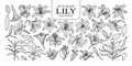 Set of lily in 27 styles. Cute hand drawn flower vector illustration in black outline and white plane.