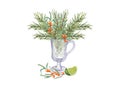 Set of Lime slice, bouquet of Spruce twigs, Sea Buckthorn in transparent glass on white background. Christmas and New year theme. Royalty Free Stock Photo