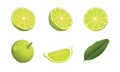 Set of Limes isolated on white background.