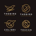 Set of Line art geometric bird logo icon vector template Royalty Free Stock Photo