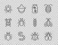 Set line Beetle deer, Insect fly, Fireflies bugs in a jar, Worm, Spider, Mite and Butterfly icon. Vector