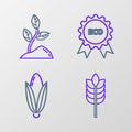 Set line Cereals with rice, wheat, corn, oats, rye, Corn, Banner, label, tag, logo for eco and Sprout icon. Vector