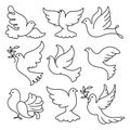 Set of line drawings of doves. Icons, decor elements, logo vector Royalty Free Stock Photo
