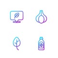 Set line Essential oil bottle, Leaf or leaves, Vegan food diet and Garlic. Gradient color icons. Vector