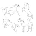 Set of line horses. Isolated black outline galloping, jumping running, trotting, rearing horse on white background. Side view. Royalty Free Stock Photo