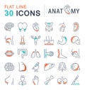 Set of Line Icons of Anatomy and Physiology